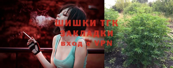 крисы Дубна