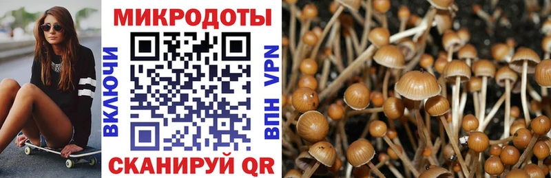 Псилоцибиновые грибы GOLDEN TEACHER  Западная Двина 